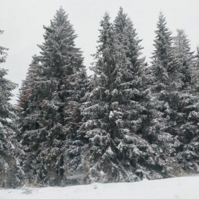 Apartmani Sorak Kopaonik, Studio Apartman A10